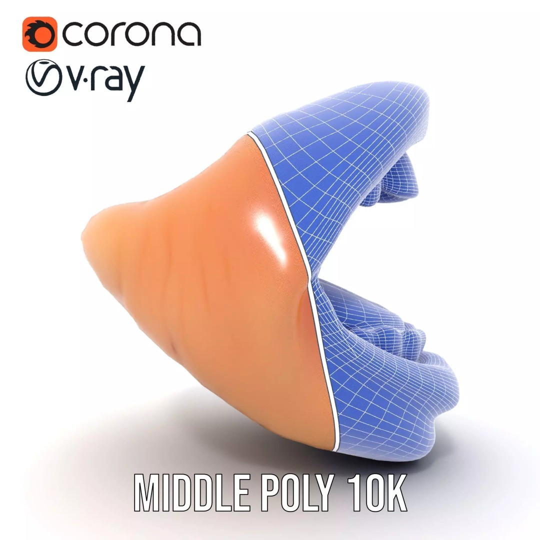 Realistic Human Mouth 3D Model – Low Poly PBR Asset, FBX - View 22