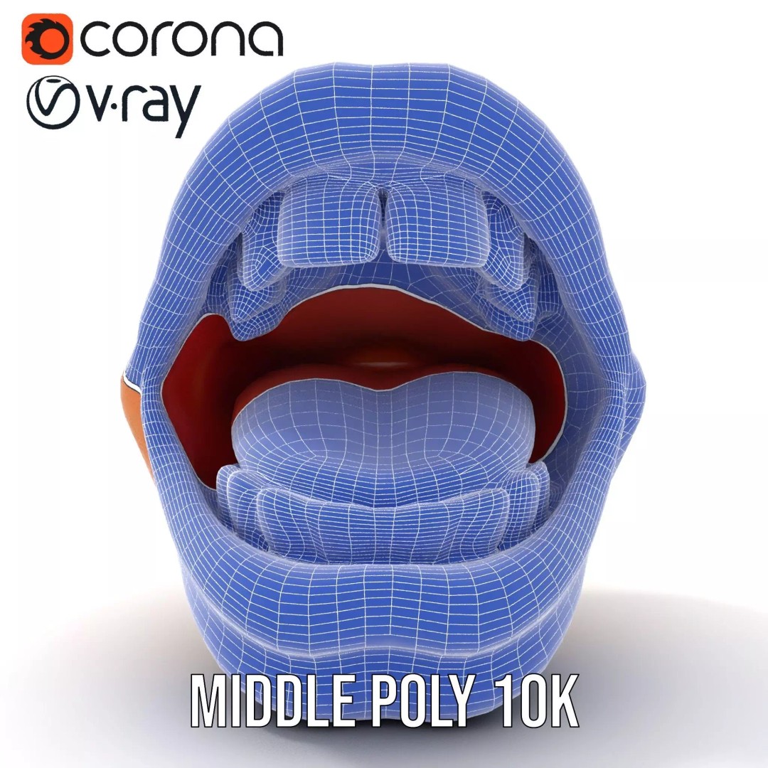 Realistic Human Mouth 3D Model – Low Poly PBR Asset, FBX - View 27