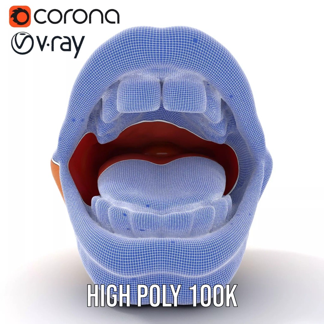 Realistic Human Mouth 3D Model – Low Poly PBR Asset, FBX - View 34