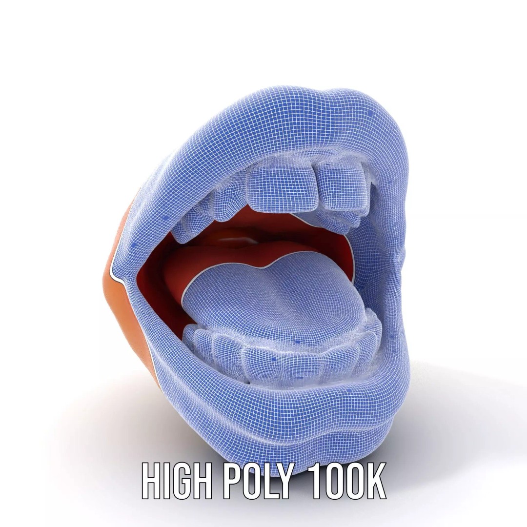 Realistic Human Mouth 3D Model – Low Poly PBR Asset, FBX - View 5