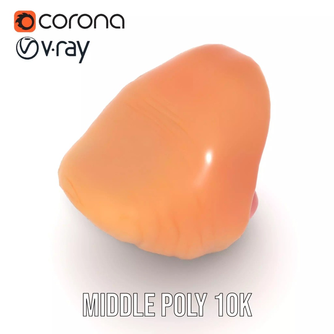 Realistic Human Mouth 3D Model – Low Poly PBR Asset, FBX - View 6