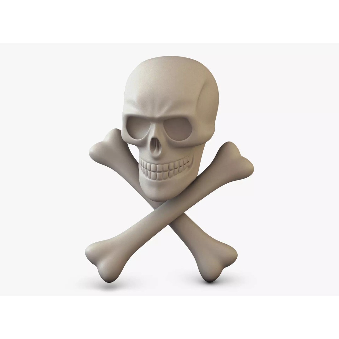 Pirate Skull Bones M 1 3D Model – High Poly PBR Asset, FBX, OBJ - View 2