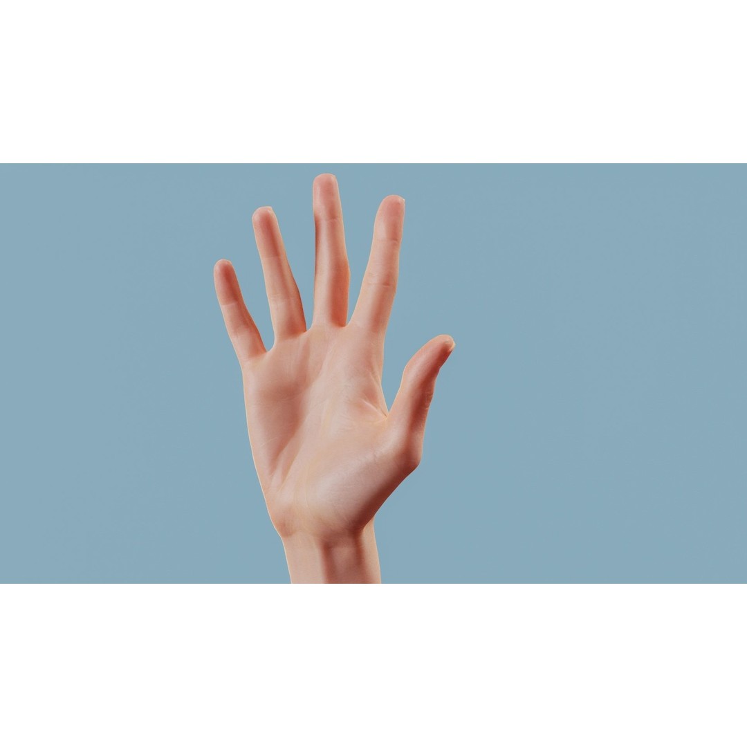 Realistic Hand 3D Model – Low Poly PBR Asset, FBX, OBJ Formats - View 13