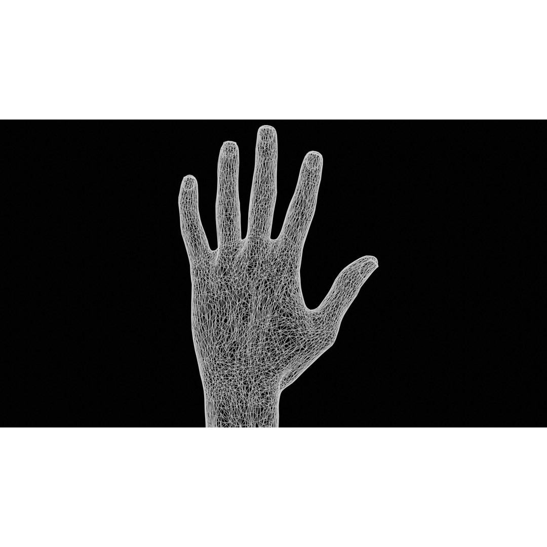 Realistic Hand 3D Model – Low Poly PBR Asset, FBX, OBJ Formats - View 14
