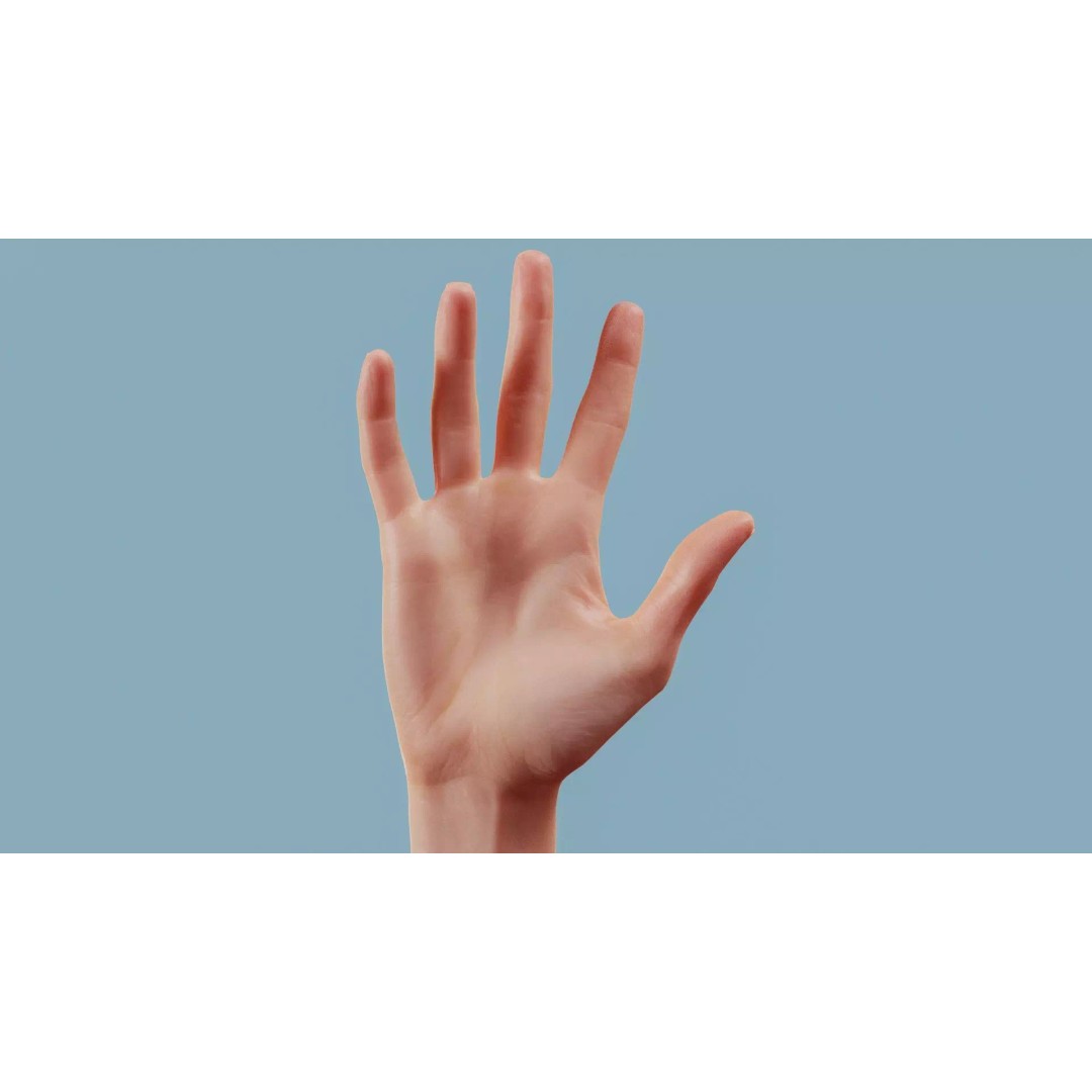 Realistic Hand 3D Model – Low Poly PBR Asset, FBX, OBJ Formats - View 2