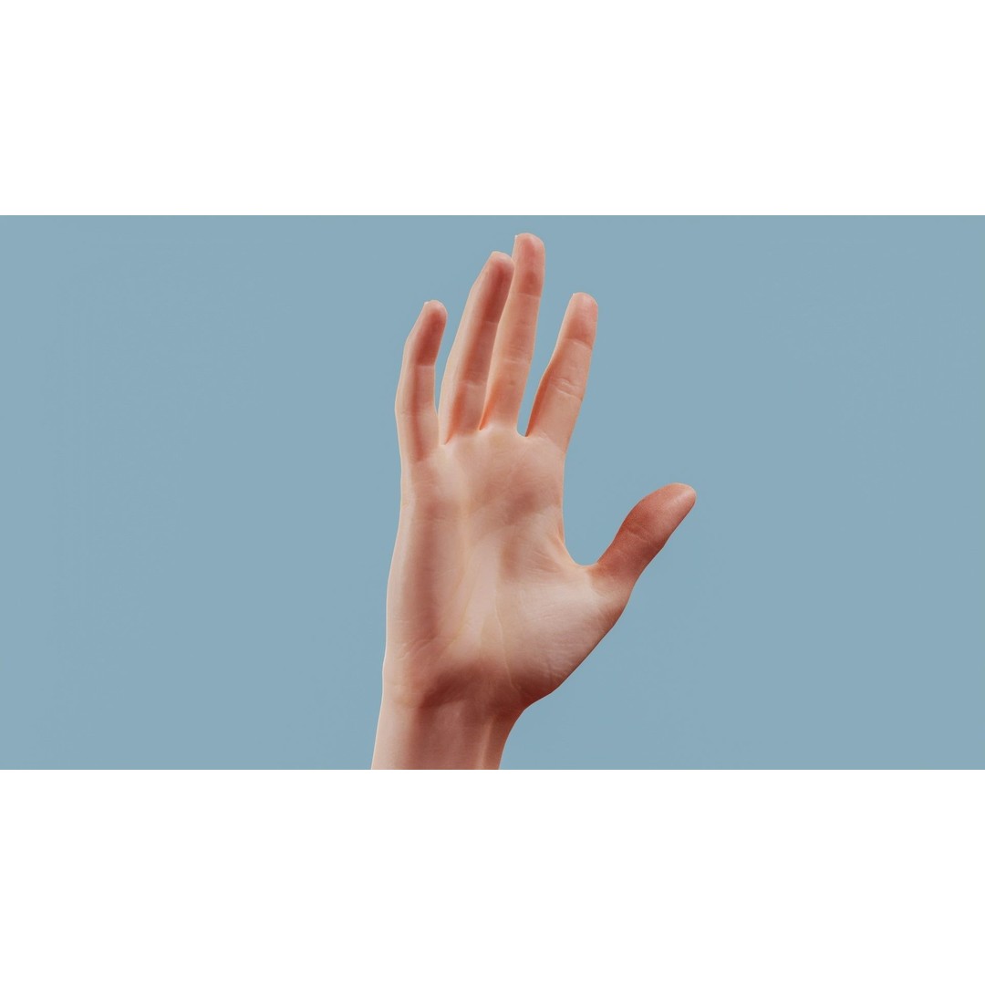 Realistic Hand 3D Model – Low Poly PBR Asset, FBX, OBJ Formats - View 3