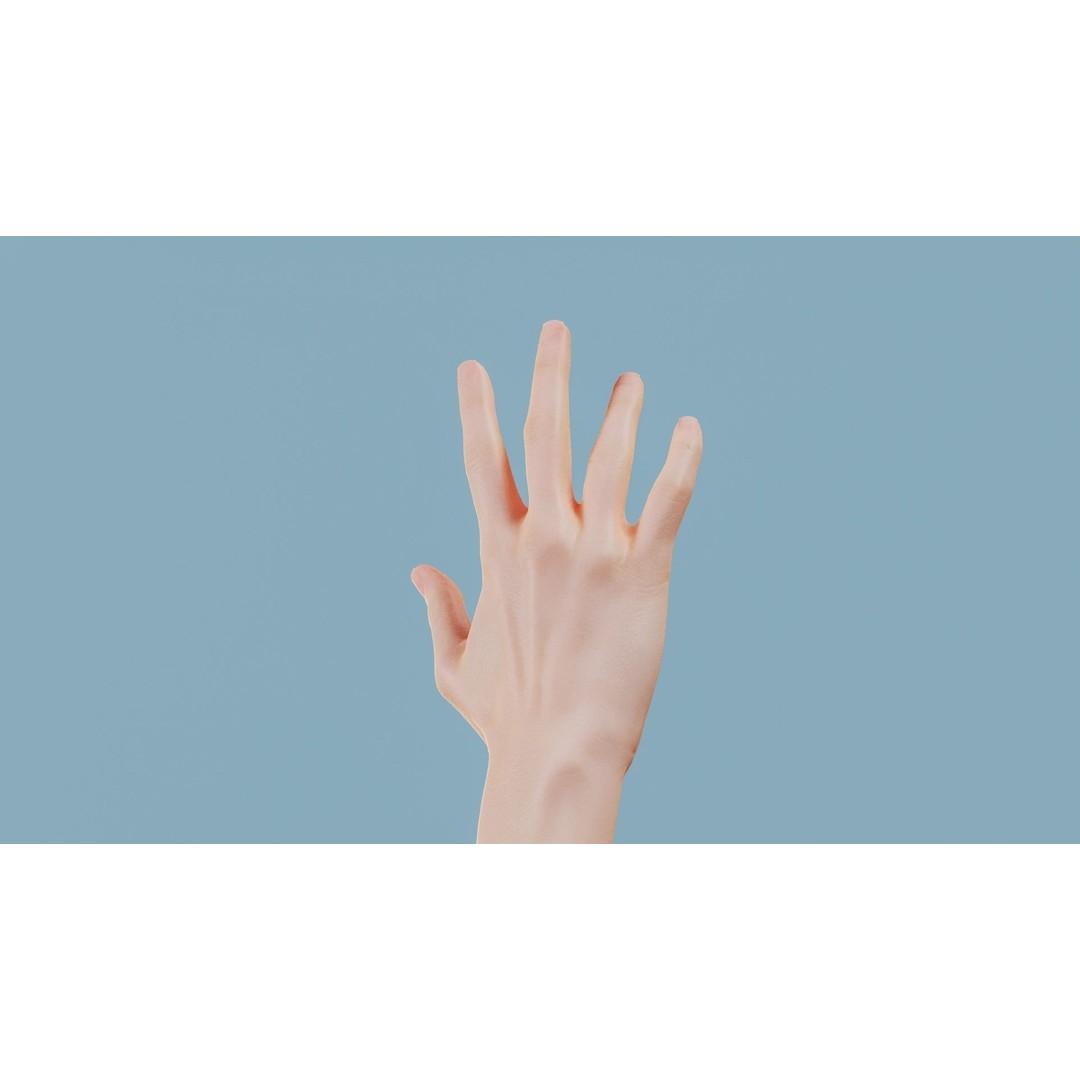 Realistic Hand 3D Model – Low Poly PBR Asset, FBX, OBJ Formats - View 7