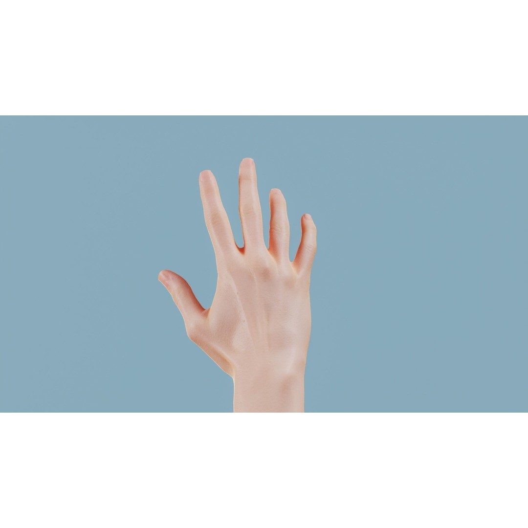 Realistic Hand 3D Model – Low Poly PBR Asset, FBX, OBJ Formats - View 8