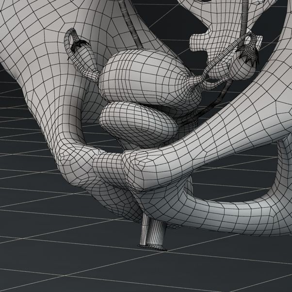 Female Reproductive System 3D Model – Anatomical PBR Asset, FBX, OBJ - View 11