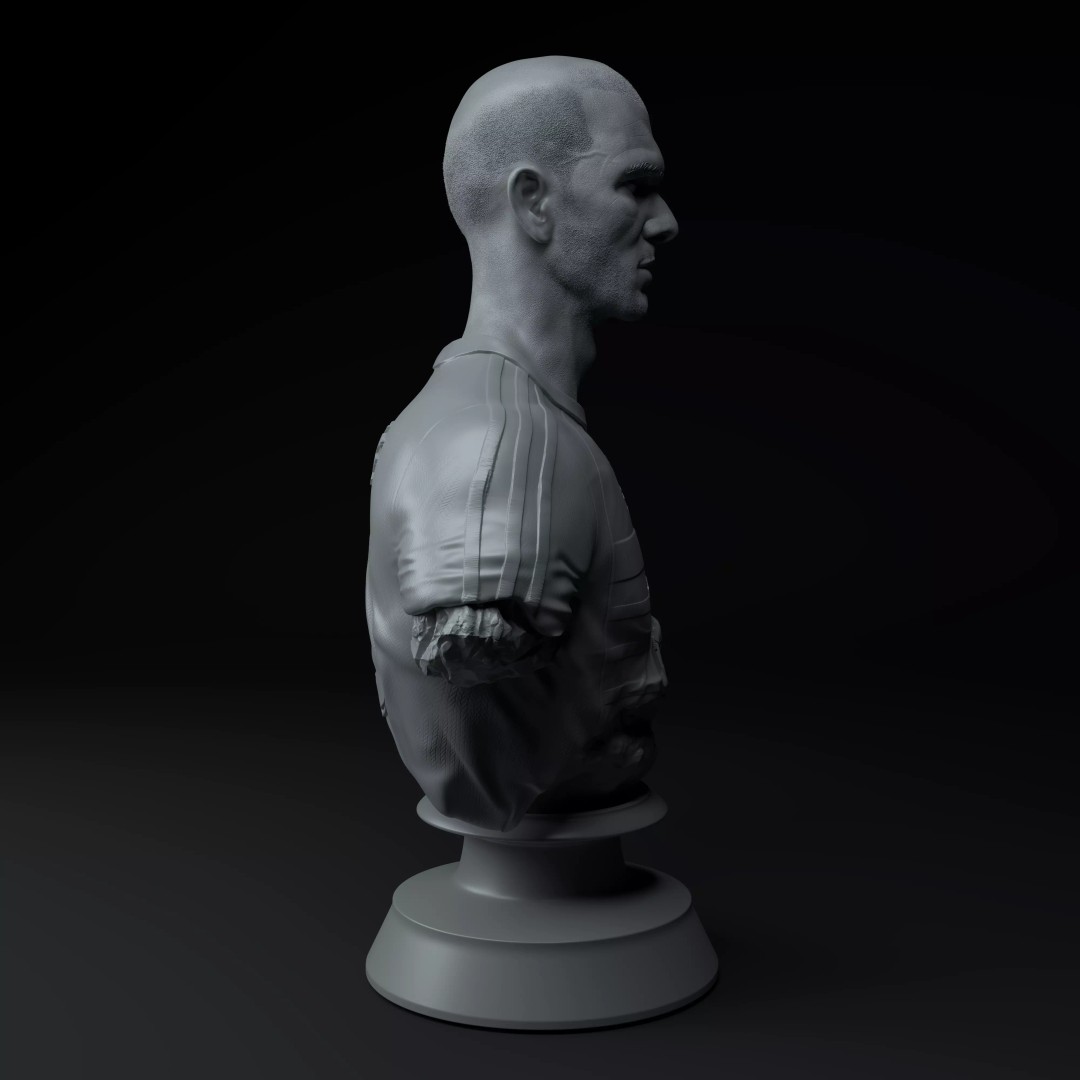 Zinedine Zidane 3D Model – Premium Trophy Diorama for Printing - View 10