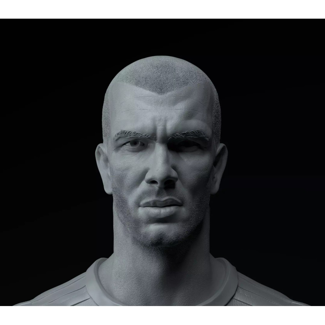 Zinedine Zidane 3D Model – Premium Trophy Diorama for Printing - View 13
