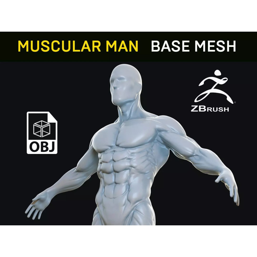 Muscular Man 3D Model – High Poly Anatomical Base Mesh, ZTL, OBJ - View 2