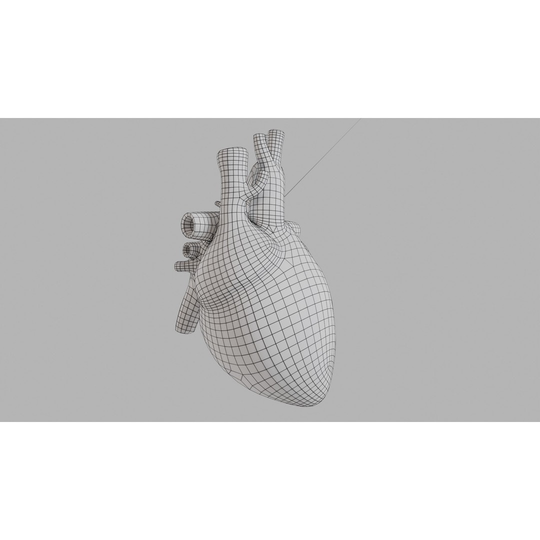 Human Heart 3D Model – Low Poly Game Asset, PBR, FBX, OBJ - View 10