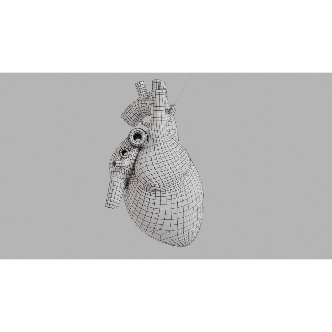 Human Heart 3D Model – Low Poly Game Asset, PBR, FBX, OBJ - View 11