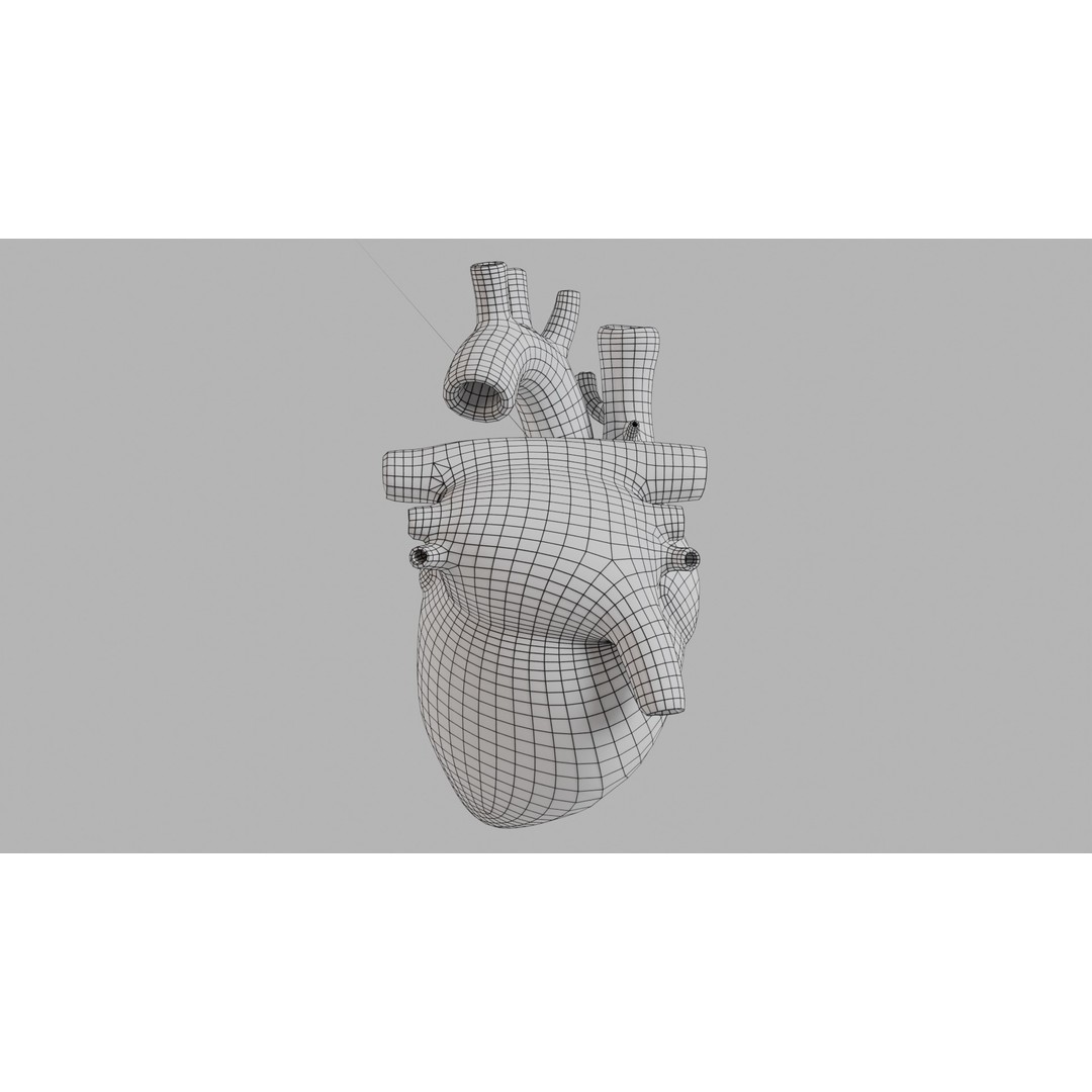 Human Heart 3D Model – Low Poly Game Asset, PBR, FBX, OBJ - View 12