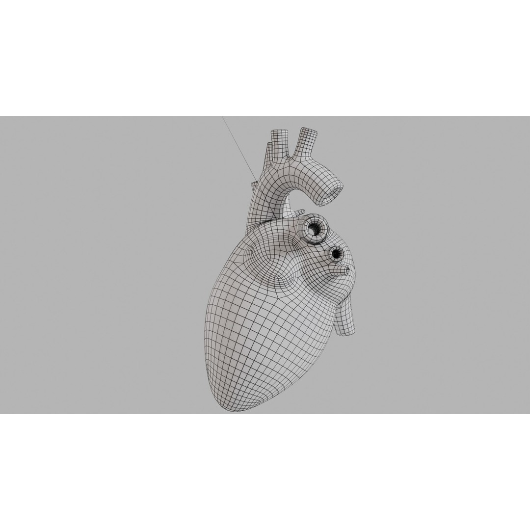 Human Heart 3D Model – Low Poly Game Asset, PBR, FBX, OBJ - View 7