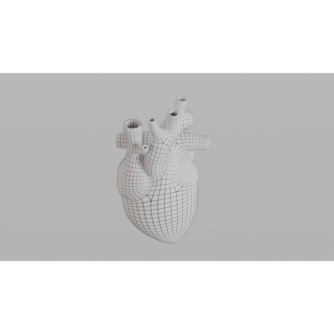 Human Heart 3D Model – Low Poly Game Asset, PBR, FBX, OBJ - View 8