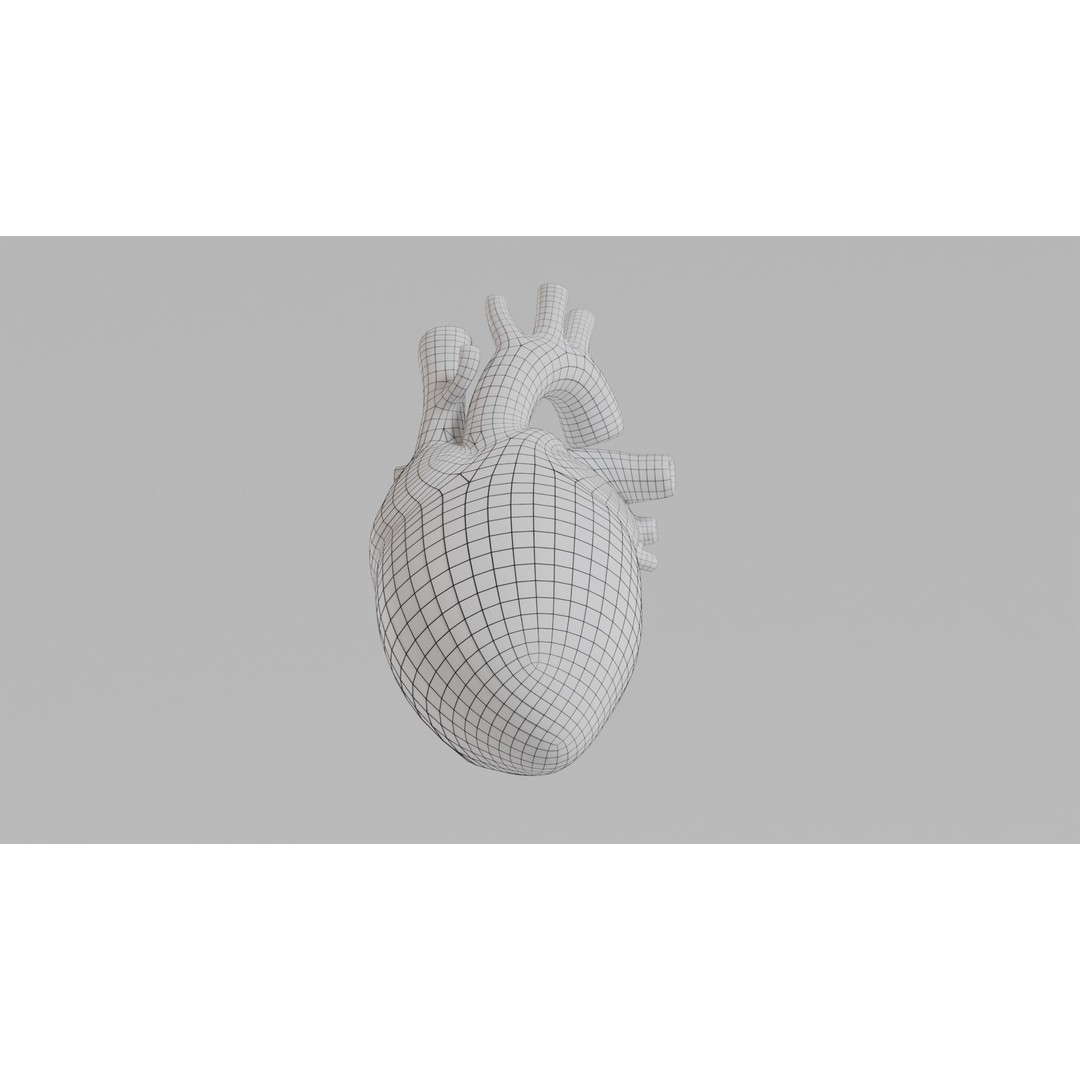 Human Heart 3D Model – Low Poly Game Asset, PBR, FBX, OBJ - View 9