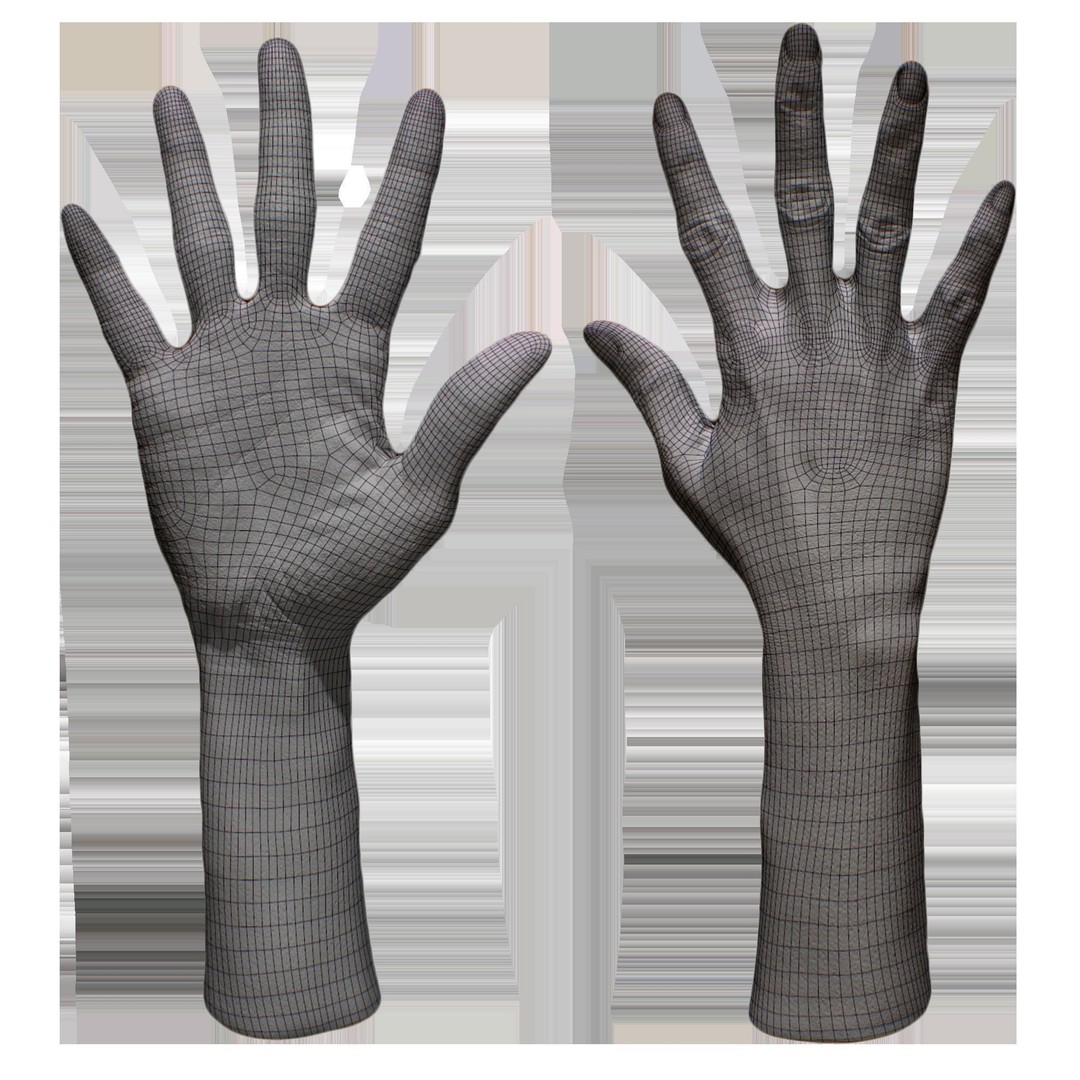 Senedra Graves 3D Model – Female Hand Scan, High Poly & Low Poly Formats