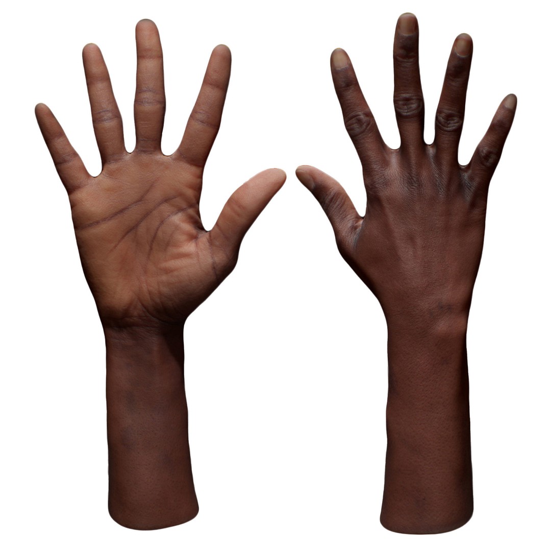 Senedra Graves 3D Model – Female Hand Scan, High Poly & Low Poly Formats - View 6