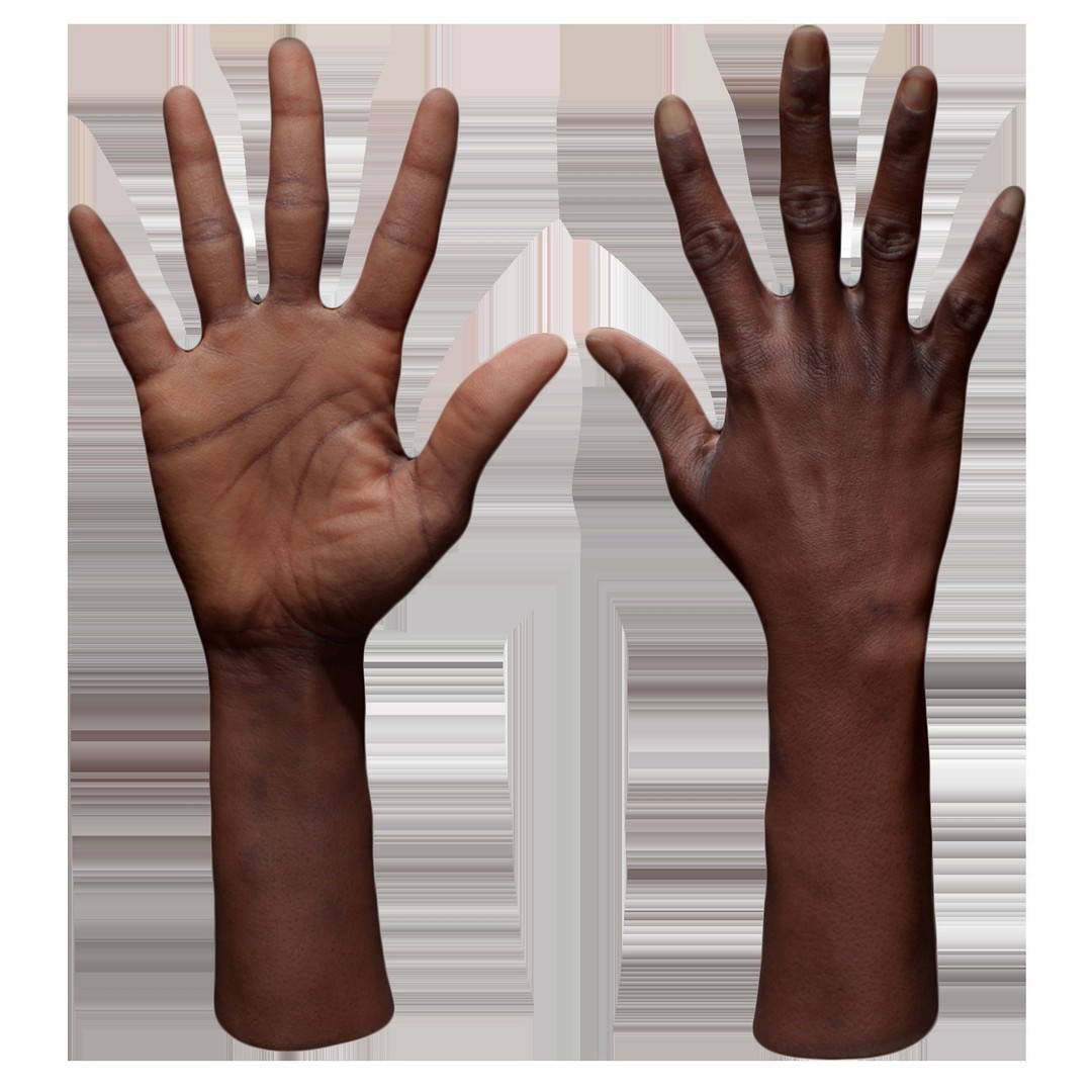 Senedra Graves 3D Model – Female Hand Scan, High Poly & Low Poly Formats - View 7