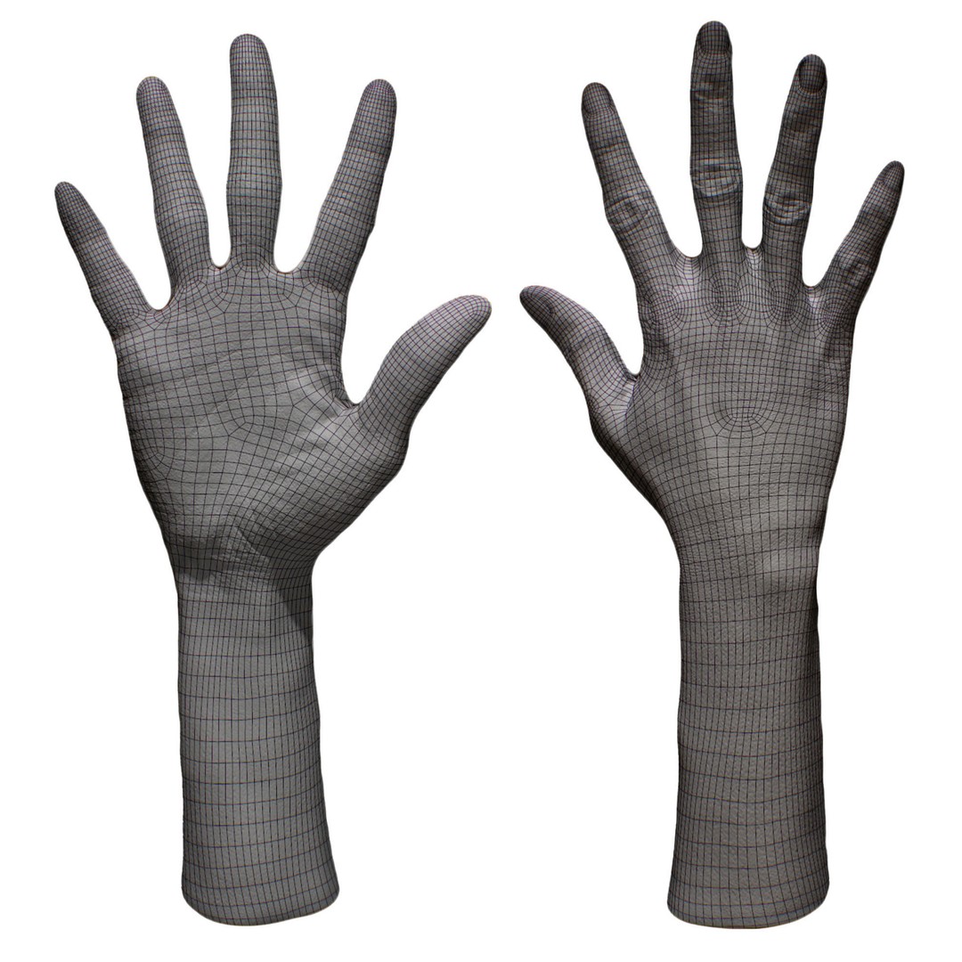 Senedra Graves 3D Model – Female Hand Scan, High Poly & Low Poly Formats - View 8