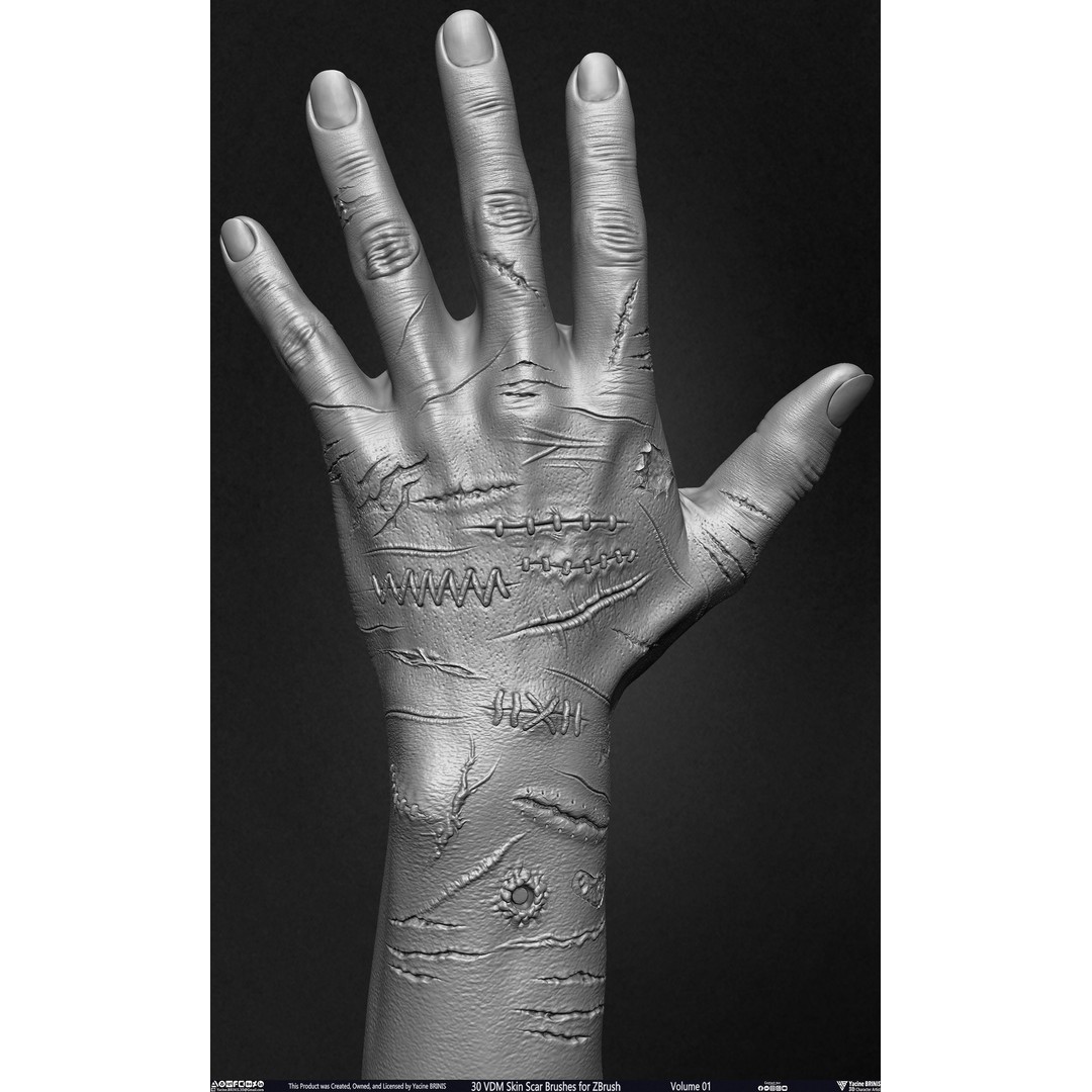 30 VDM Skin Scar Brushes 3D Model – Realistic ZBrush Textures - View 6