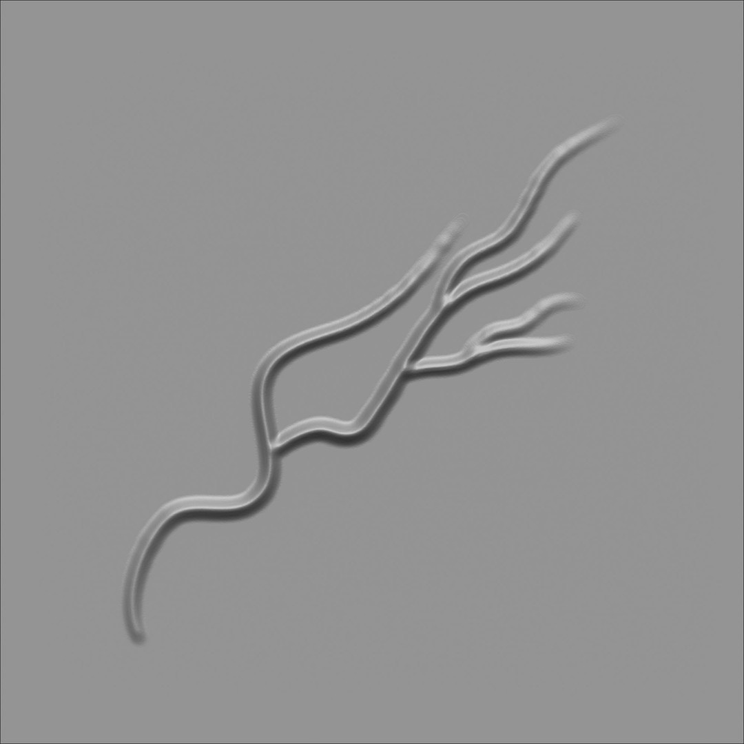 Human Anatomy Veins 3D Model – Low Poly Alpha Textures, JPEG - View 17