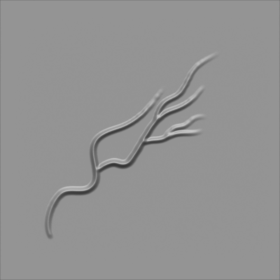 Human Anatomy Veins 3D Model – Low Poly Alpha Textures, JPEG - View 20