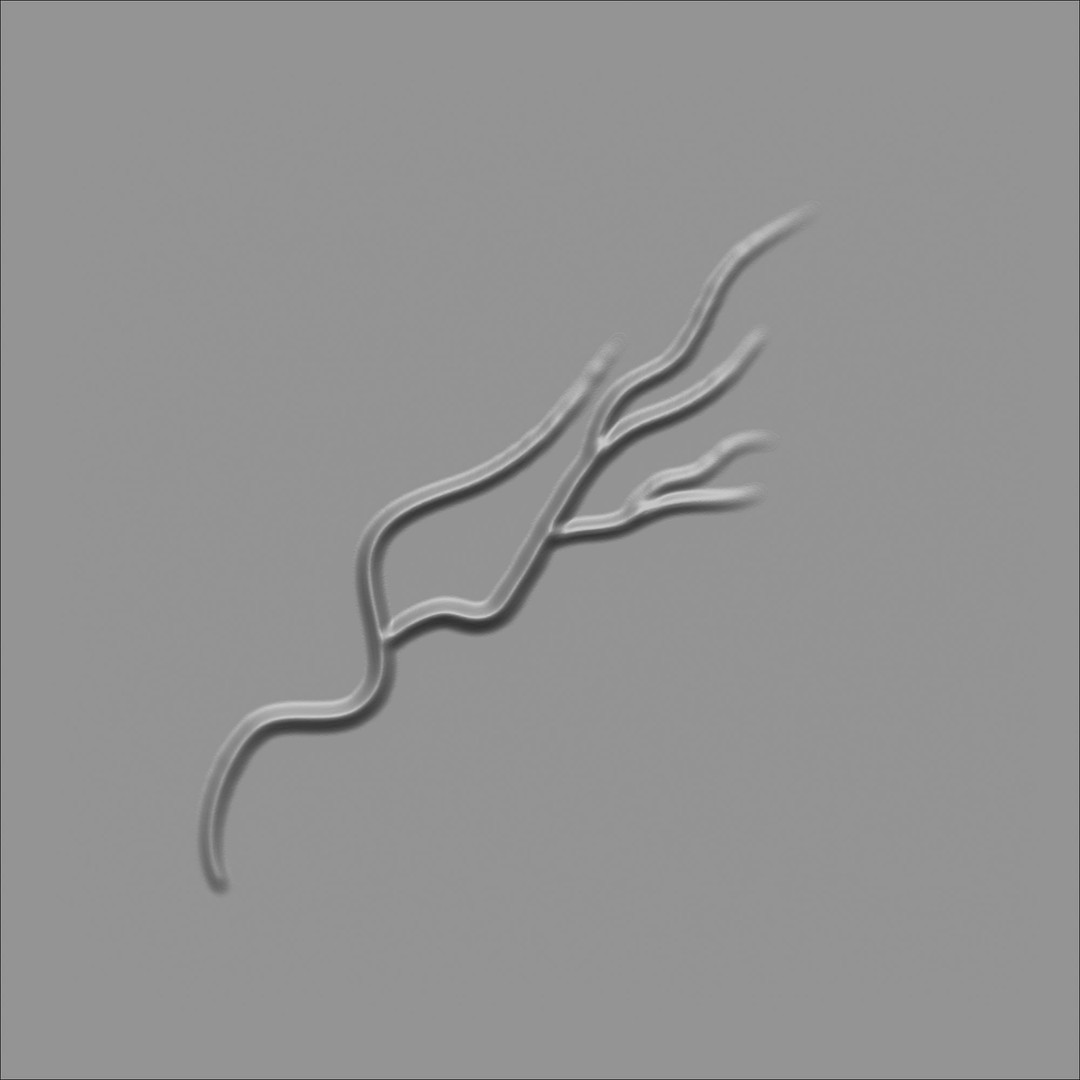 Human Anatomy Veins 3D Model – Low Poly Alpha Textures, JPEG - View 34