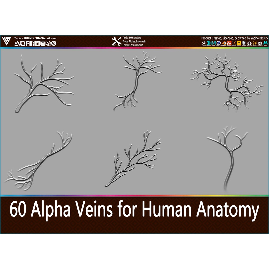 Human Anatomy Veins 3D Model – Low Poly Alpha Textures, JPEG - View 6