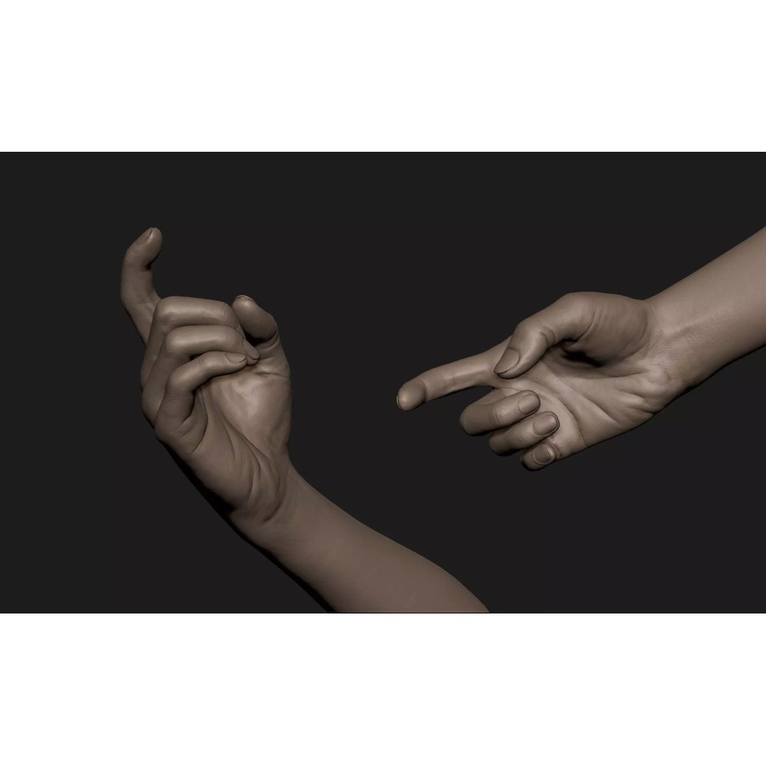 Realistic Female Hand 3D Model – High Poly Sculpt for Printing - View 2