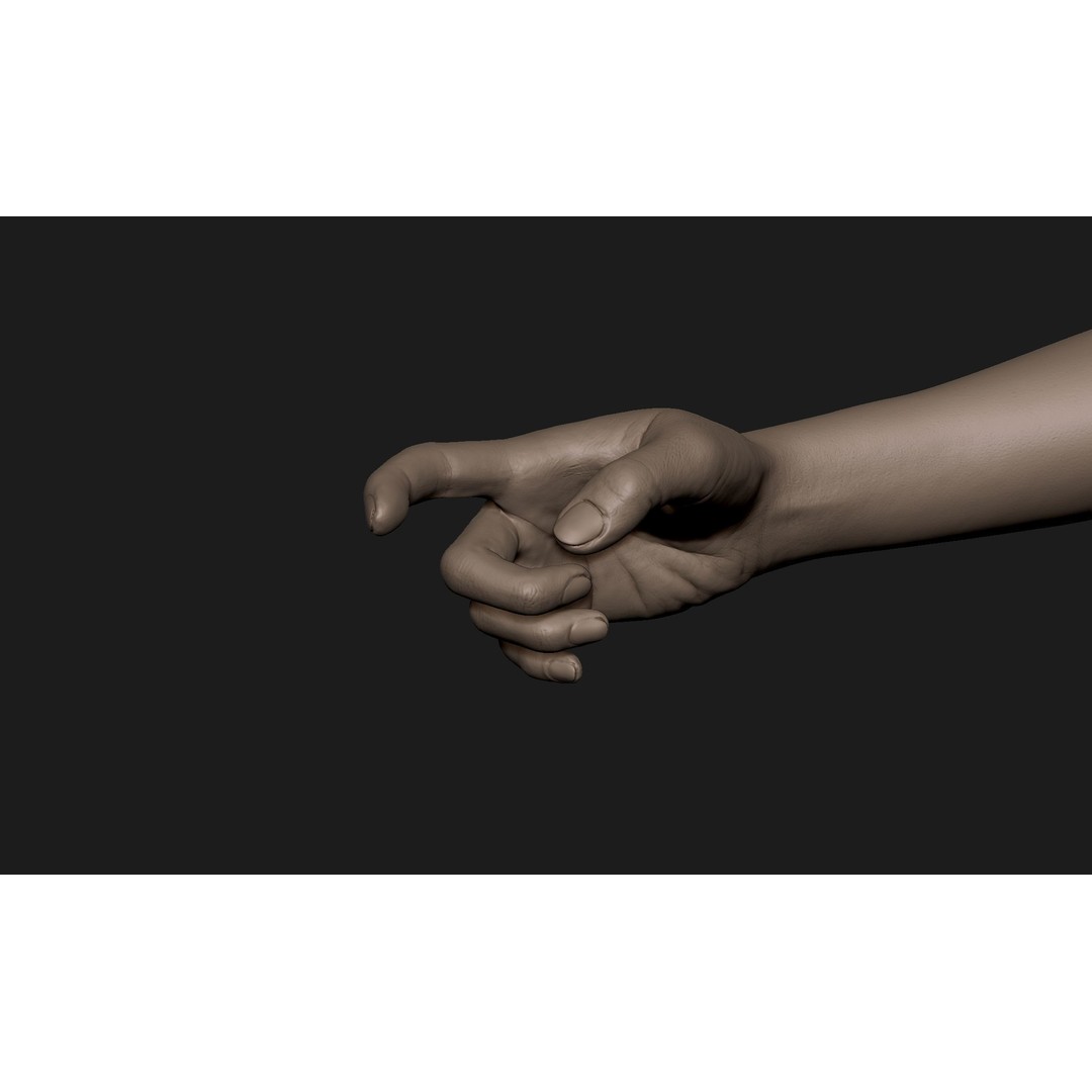Realistic Female Hand 3D Model – High Poly Sculpt for Printing - View 3