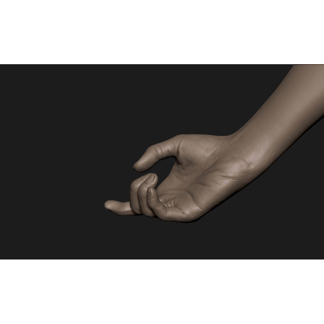 Realistic Female Hand 3D Model – High Poly Sculpt for Printing - View 4