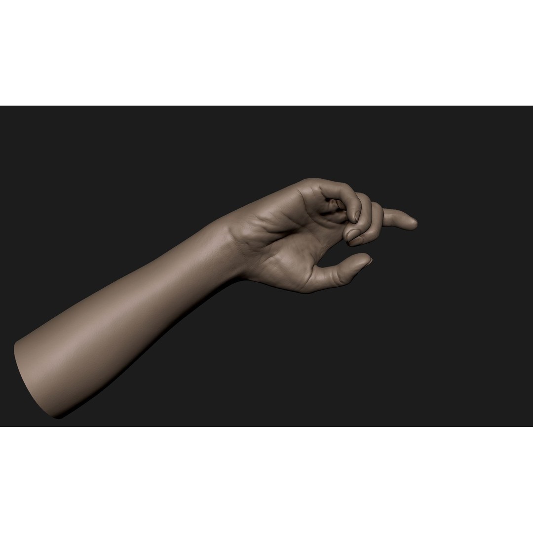 Realistic Female Hand 3D Model – High Poly Sculpt for Printing - View 5