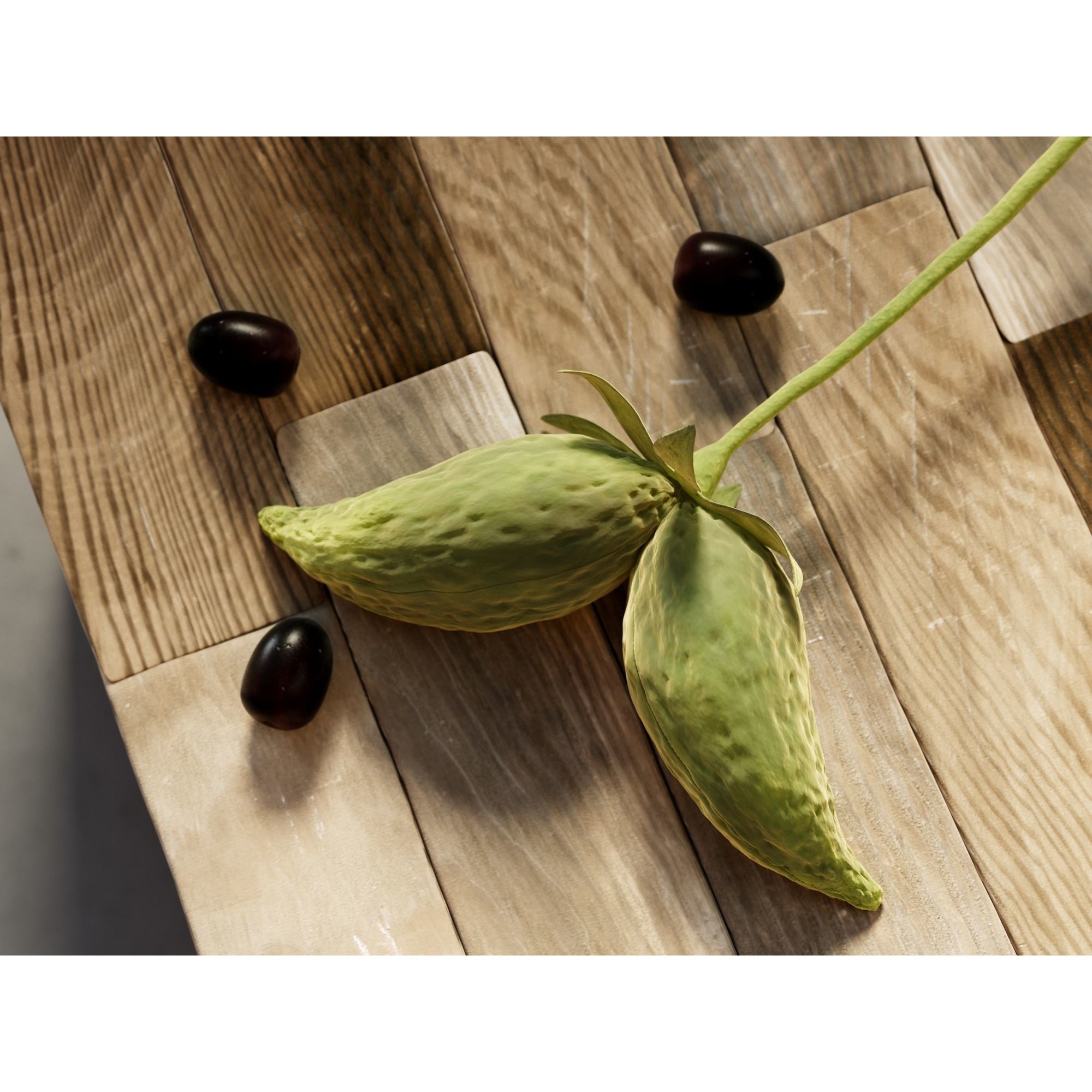Composition Wood and Olives - Game-Ready 3D Model - View 4