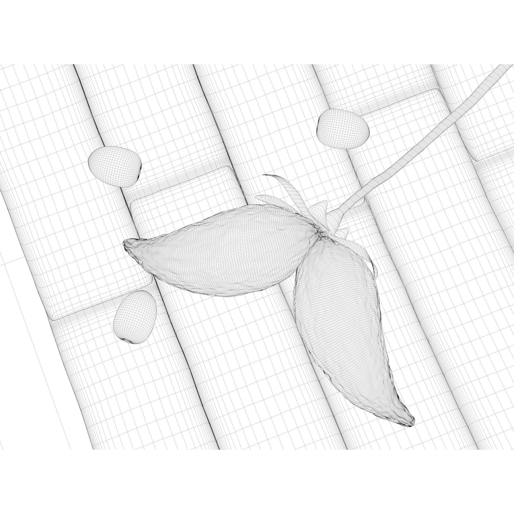 Composition Wood and Olives - Game-Ready 3D Model - View 5