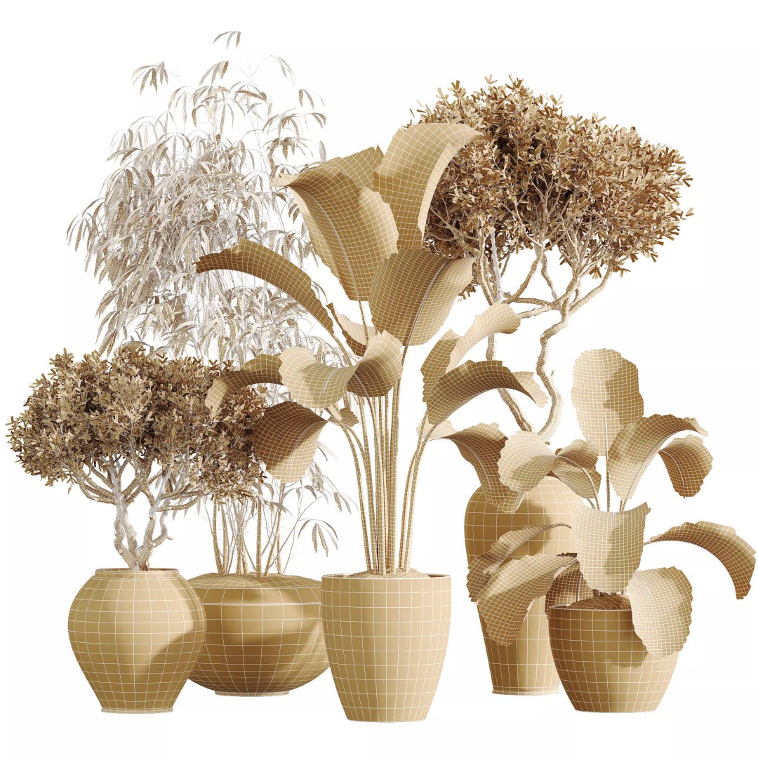 Indoor Plants 3D Model – Elegant Ficus, Olive & Calathea Set, FBX