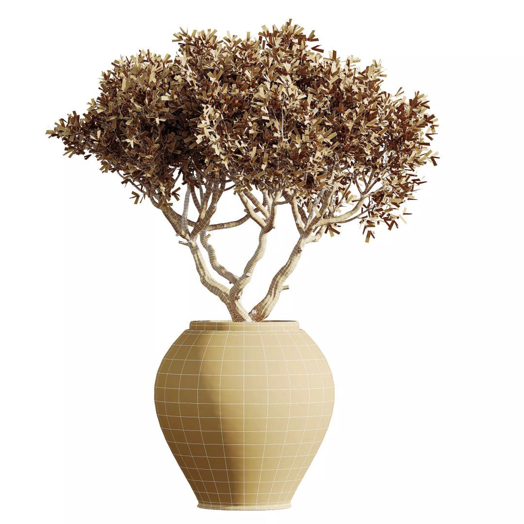 Indoor Plants 3D Model – Elegant Ficus, Olive & Calathea Set, FBX - View 10