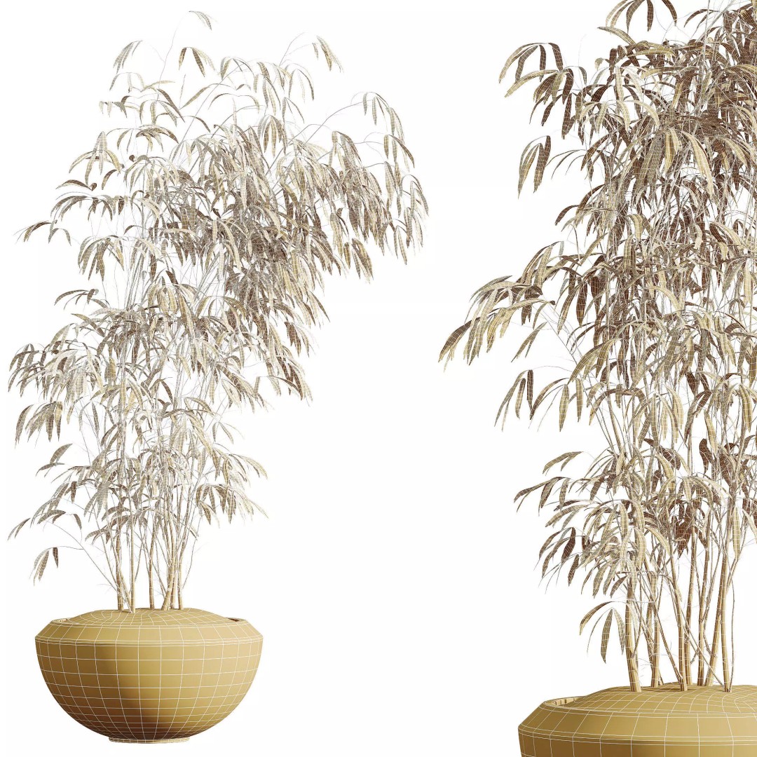 Indoor Plants 3D Model – Elegant Ficus, Olive & Calathea Set, FBX - View 11