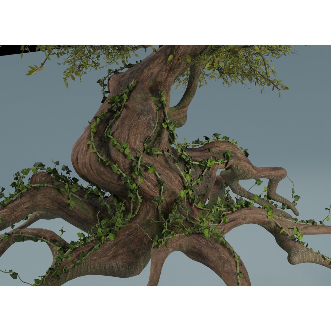 Chinese Banyan Tree 3D Model – Low Poly PBR Asset, Blender & FBX