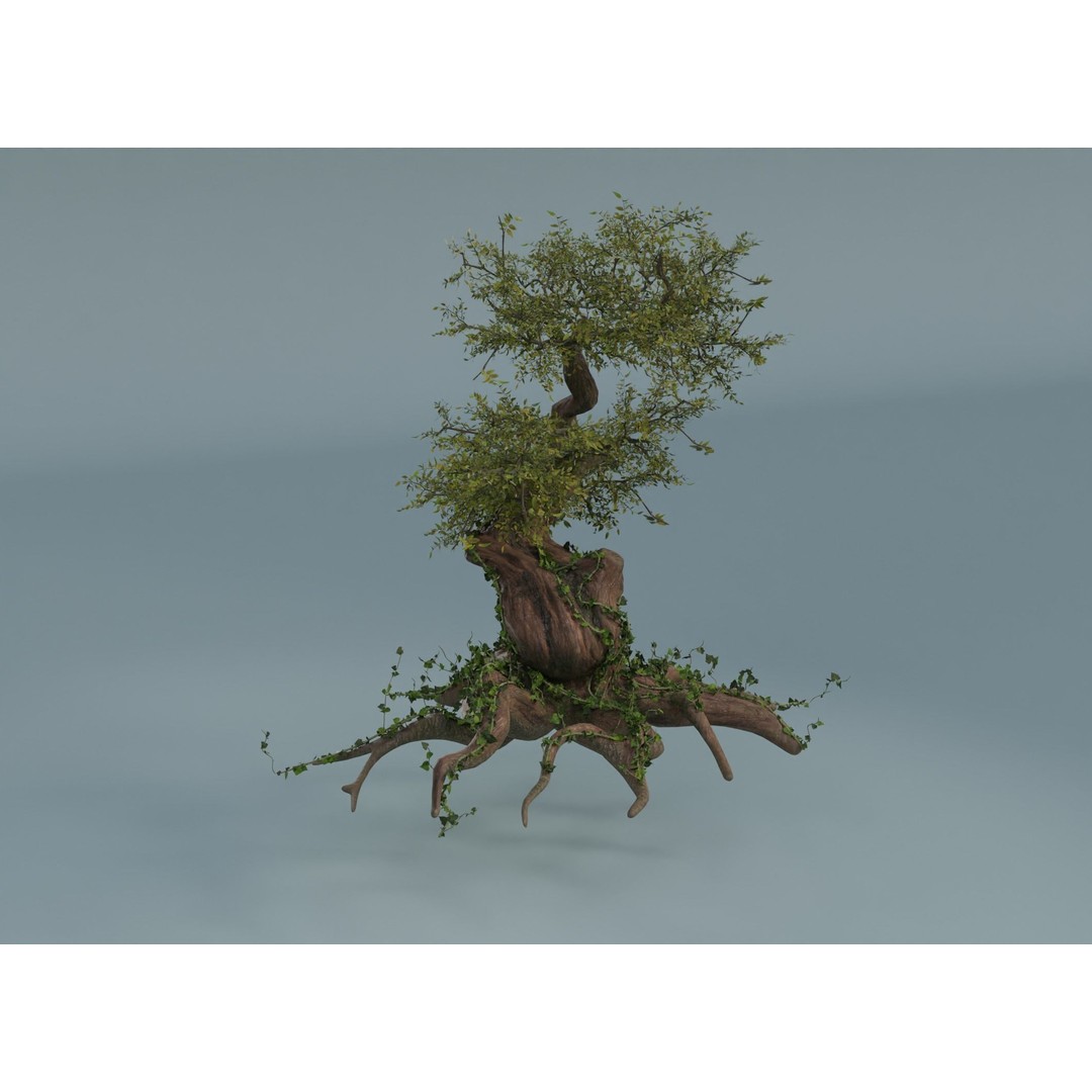 Chinese Banyan Tree 3D Model – Low Poly PBR Asset, Blender & FBX - View 10