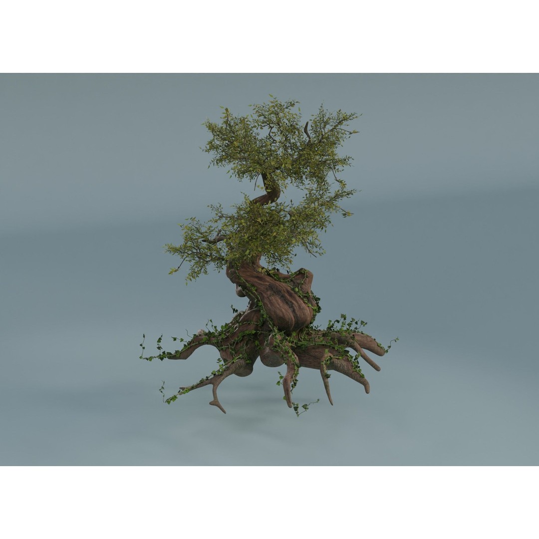 Chinese Banyan Tree 3D Model – Low Poly PBR Asset, Blender & FBX - View 11