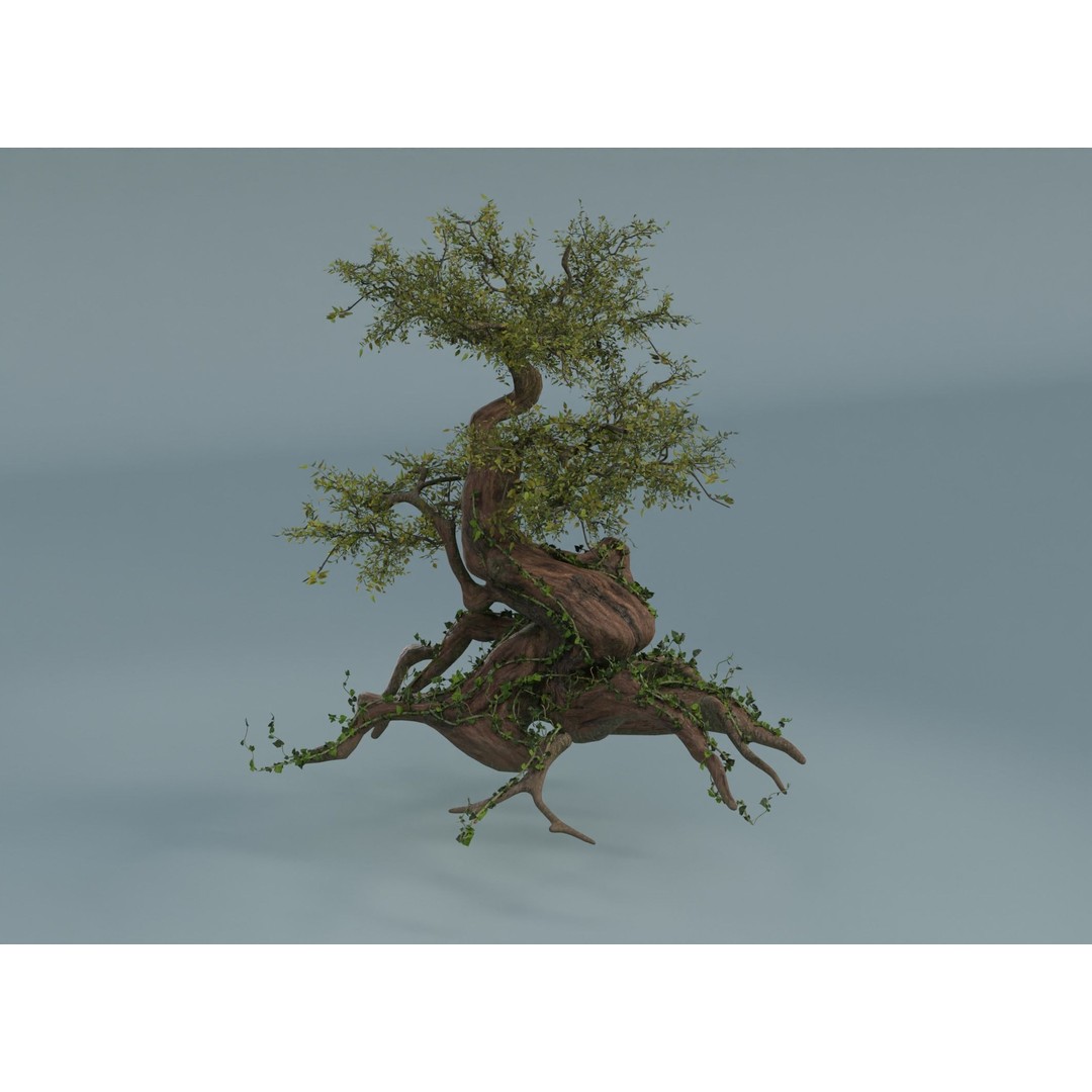 Chinese Banyan Tree 3D Model – Low Poly PBR Asset, Blender & FBX - View 12