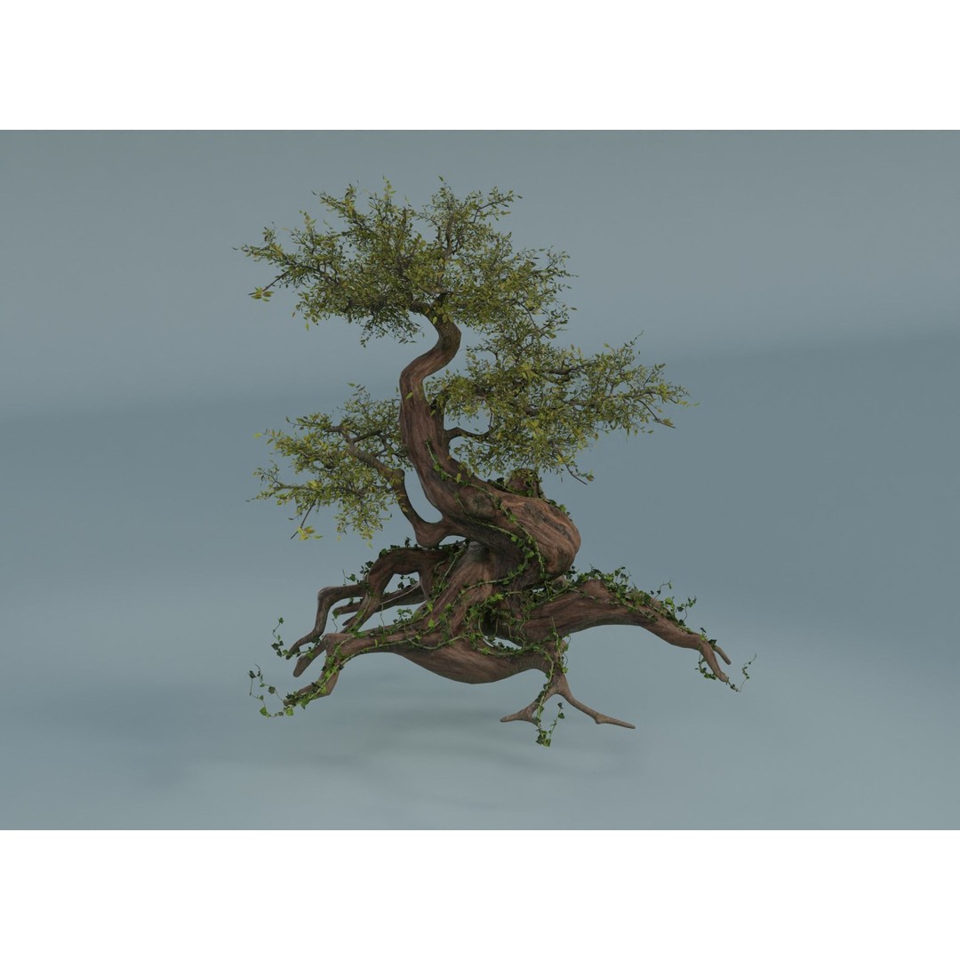 Chinese Banyan Tree 3D Model – Low Poly PBR Asset, Blender & FBX - View 13