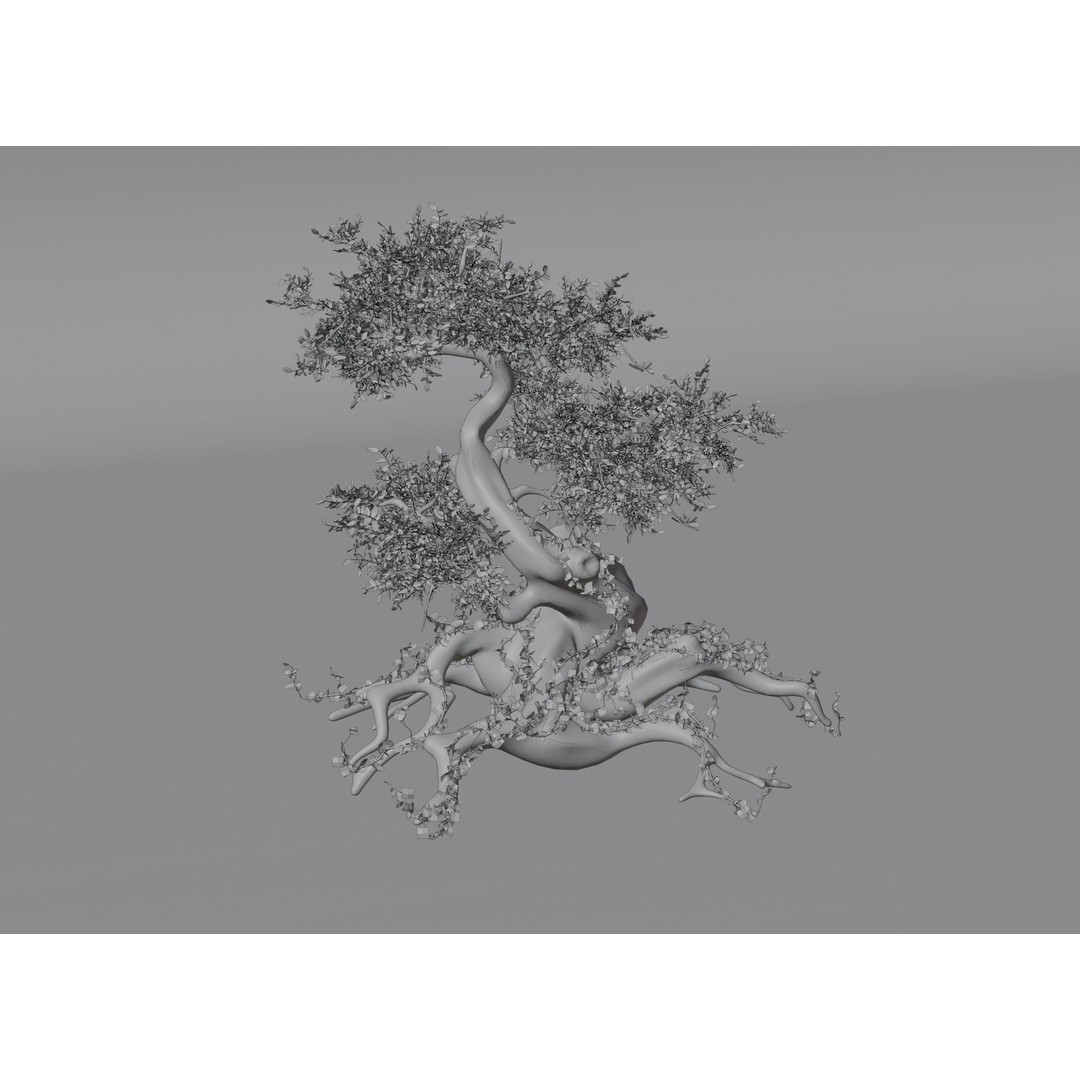 Chinese Banyan Tree 3D Model – Low Poly PBR Asset, Blender & FBX - View 14