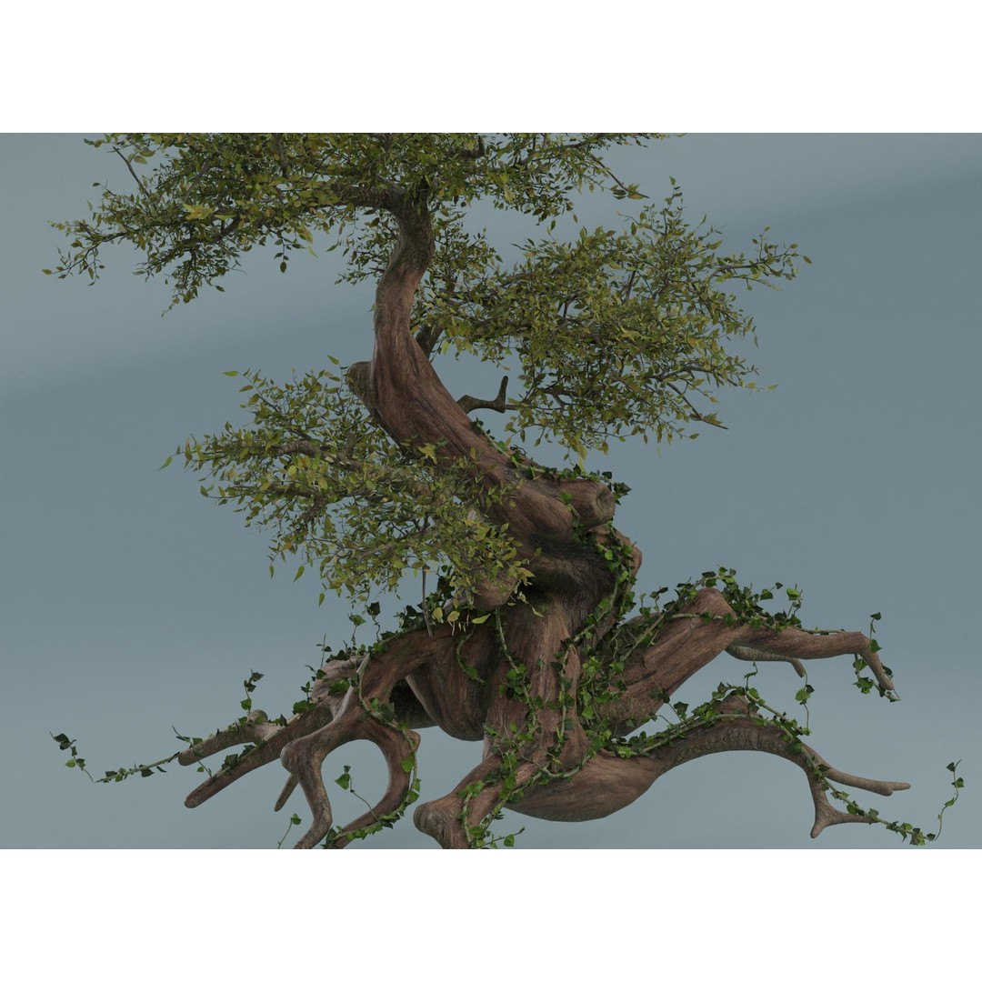 Chinese Banyan Tree 3D Model – Low Poly PBR Asset, Blender & FBX - View 15