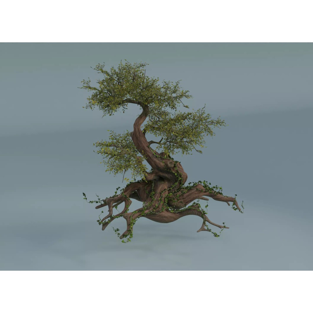 Chinese Banyan Tree 3D Model – Low Poly PBR Asset, Blender & FBX - View 2