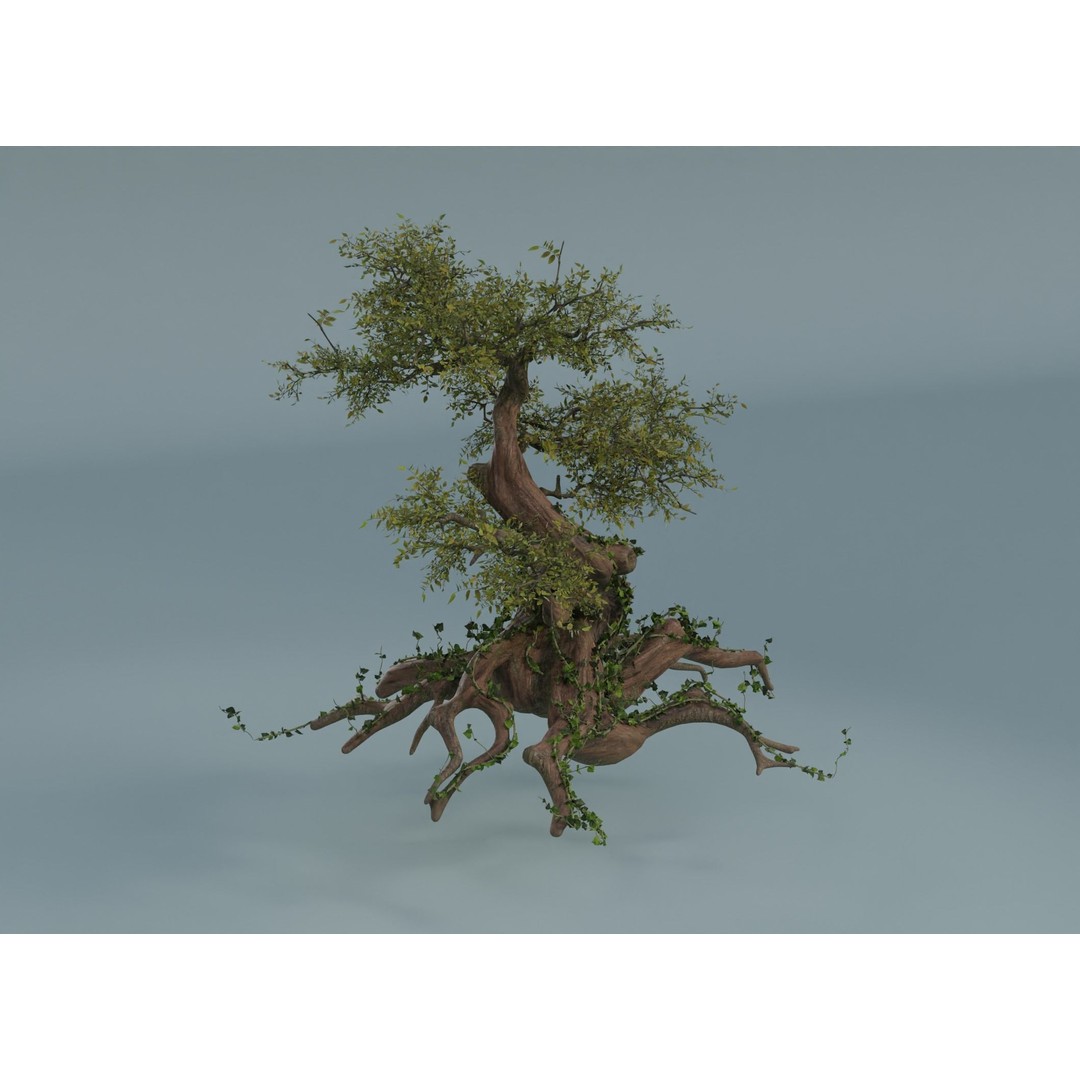 Chinese Banyan Tree 3D Model – Low Poly PBR Asset, Blender & FBX - View 3