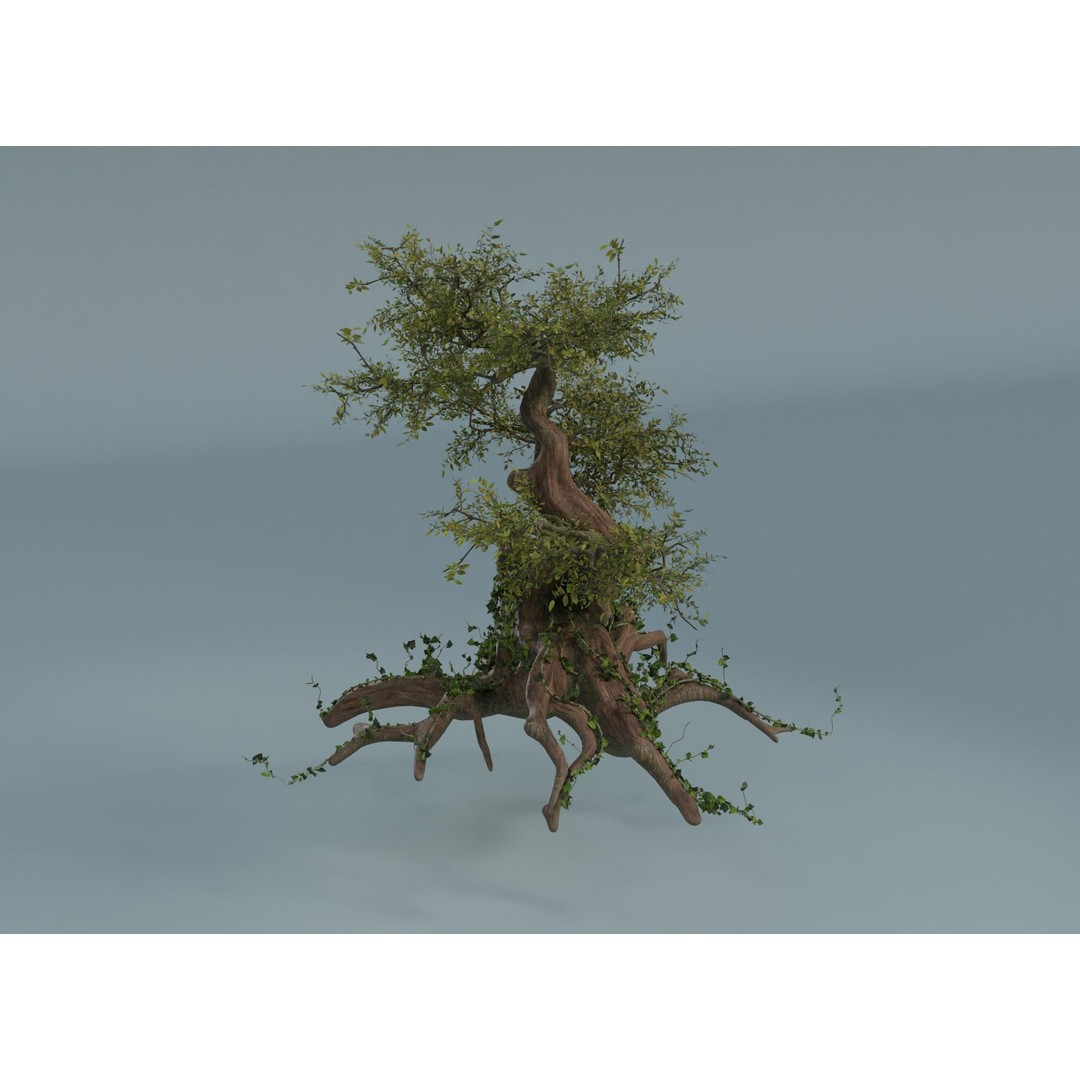 Chinese Banyan Tree 3D Model – Low Poly PBR Asset, Blender & FBX - View 4